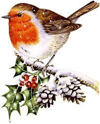 Happy Christmas from Candour