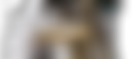 Blood & A Black Flag is out now!