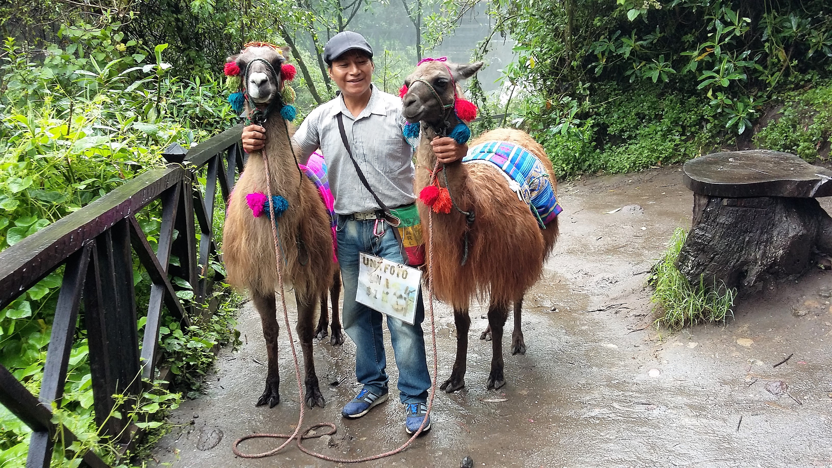 Ecuador 2017