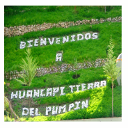 Huancapi
