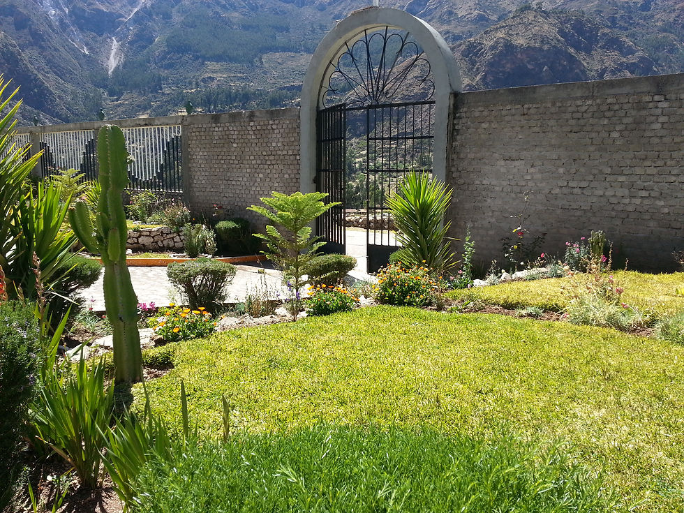 20140908_101939.jpg