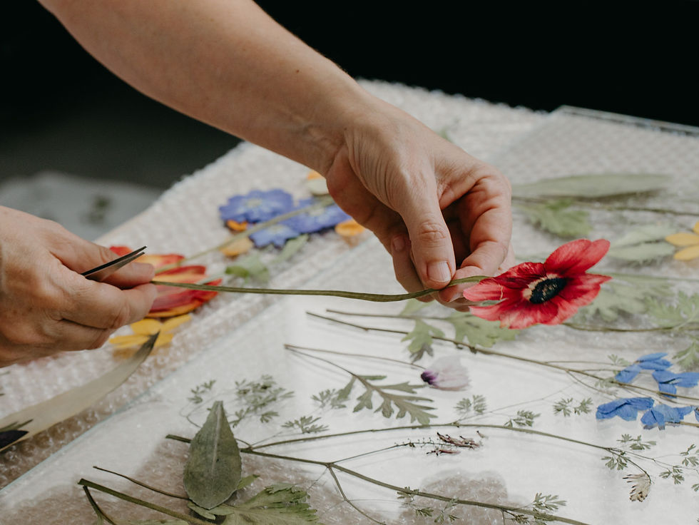 Exhibition Natural Museum TLV3.jpeg