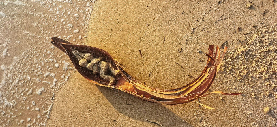 קירבה, מרגנית ארז, פיסול בחול, צילומים למכירה, פסלי חול, פסלי זוגות, זוגיות, נשיות, פסלי נשים, ארוטיקה, חושניות, אמנות, אומנות, צילומי זוגות, אקולוגיה, צילום לחדר שינה, צילומים לחדר שינה, אמנות אקולוגית, טבע, ים, פיסול בים, צילומי טבע, תשוקה, אינטימיות,  אהבה