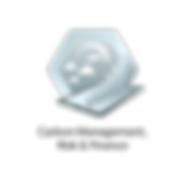 Carbon Management, Risk & Finance