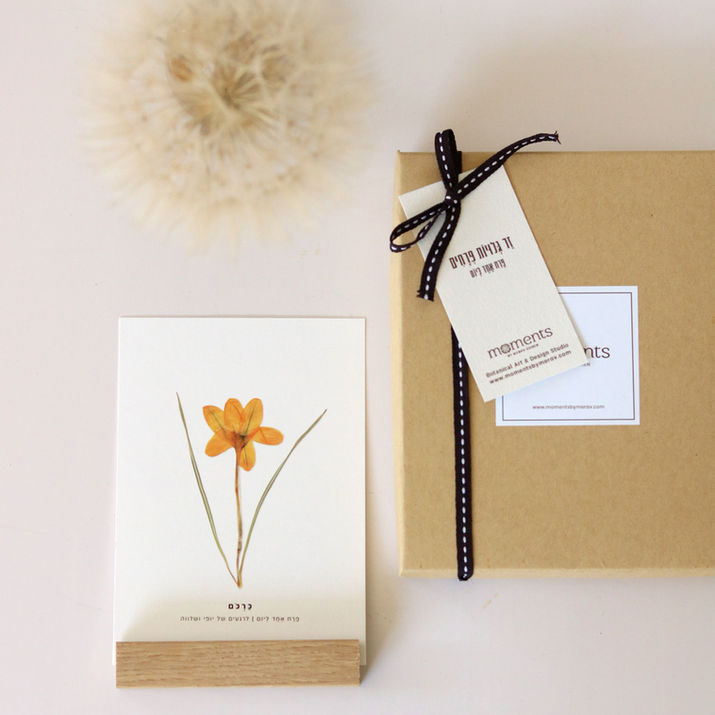 נייר ופרחים