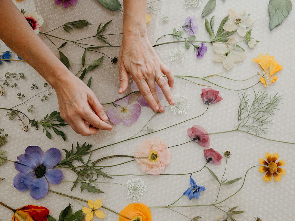 Exhibition Natural Museum TLV2.jpeg