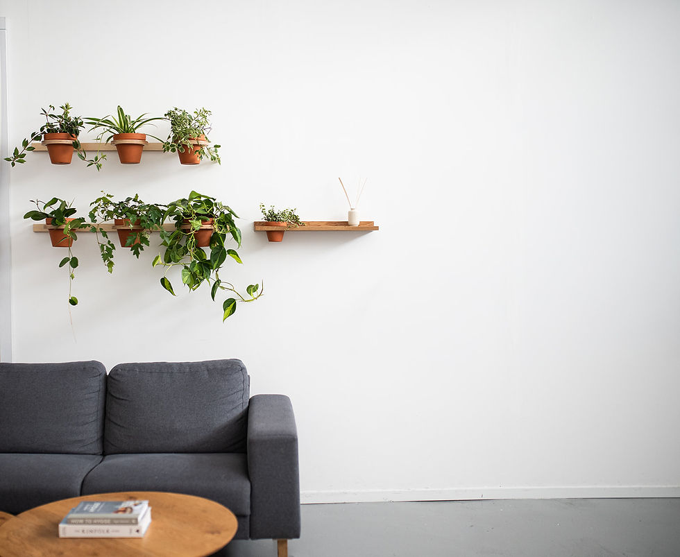 המדריך לצמחי הבית