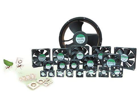 Screen Shot 2020-01-23 at 11.35.39 copy.