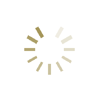 loading1.gif