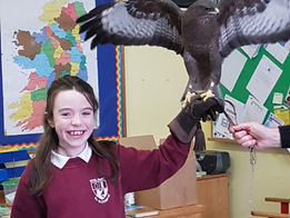 Birds of Prey!!