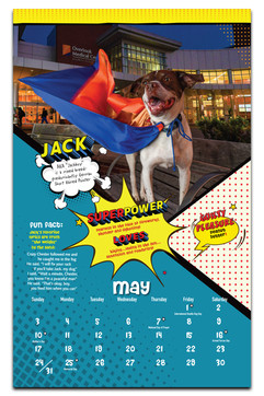 may.jpg