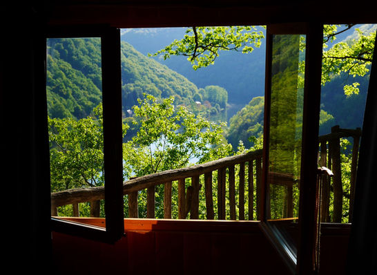 Hêtre sous le charme - Cabane dans les arbres en Corrèze - "Épicéa Souhait" - Vue Gorges de la Dordogne, forêt, nature