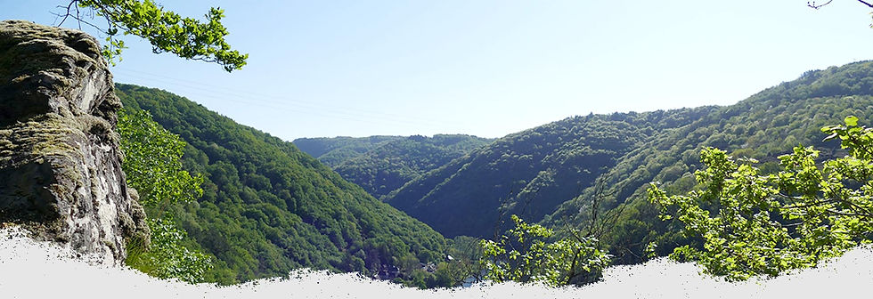 Hêtre sous le charme, panorame forêt gorges de la Dordogne depuis l'une des cabanes dans les arbres