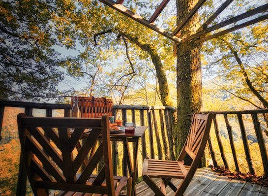 Hêtre sous le charme - Cabane dans les arbres en Corrèze - "Houx Blond" - Terrasse