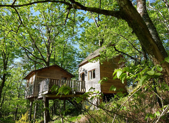 Hêtre sous le charme - Cabane dans les arbres en Corrèze - "Des Chesnaies" - Cabane familiale avec terrasse