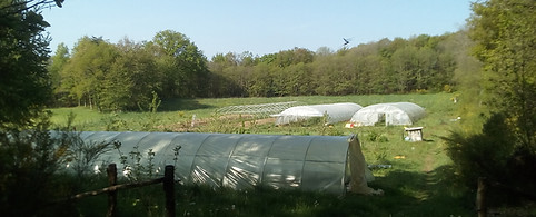 les jardins des paniers argentat tulle