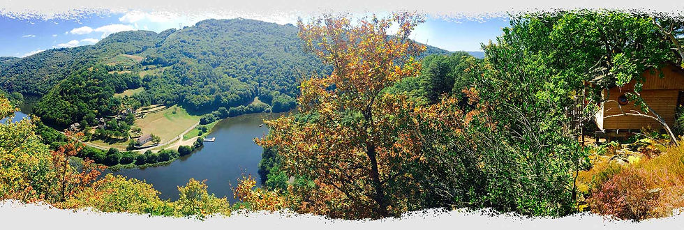 Hêtre sous le charme, vue depuis cabane dans les gorges de la Dordogne, en Corrèze