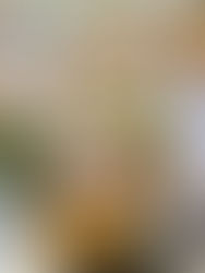 Trade Fair kan DTI CamSur halangkaw an benta