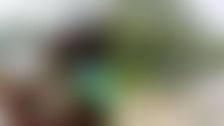 Masbate nagdeclara na nin state of calamity