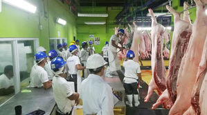 DOUBLE “A” WORLD-CLASS NAGA CITY ABATTOIR