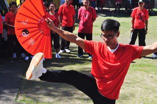 Naga’s Tsinoys mark Chinese new year
