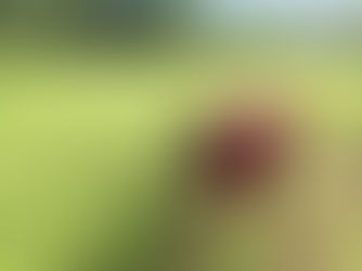 DA allots P725 million to lessen El Nino’s impact