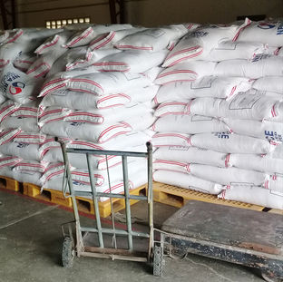 SA PALAY PROCUREMENT: Insentibo sa buying price kan NFA sa 5 provincia sa Bicol, hinahalat