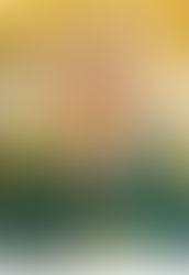 Pope Francis names new bishop of Daet