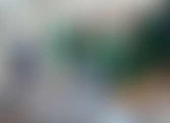 Marcos rice import ban drives up palay price