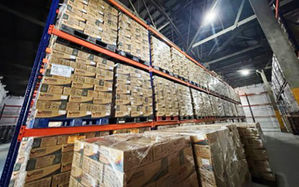 Humans, animal alike continue to get gov’t aid amid Mayon unrest