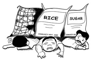 EDITORIAL: COMMUNITY DEVELOPMENT CORPORATIONS A challenging alternative to Cooperatives