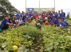 CERTIFIED URBAN FARMERS