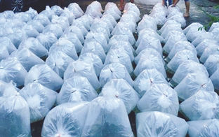 Camarines Sur fishers get 80K tilapia fingerlings from BFAR