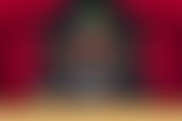 Festival asin events tampok sa Partido Area