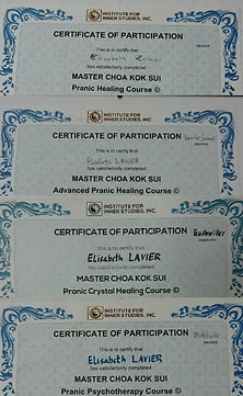 collage tous certifs.jpg