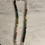 Thumbnail: Jungle Candy Necklace