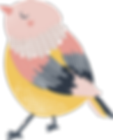 鳥