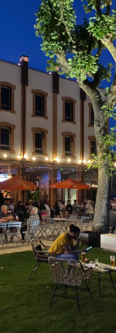 Screen Shot 2023-03-16 at 4.48.43 PM.png