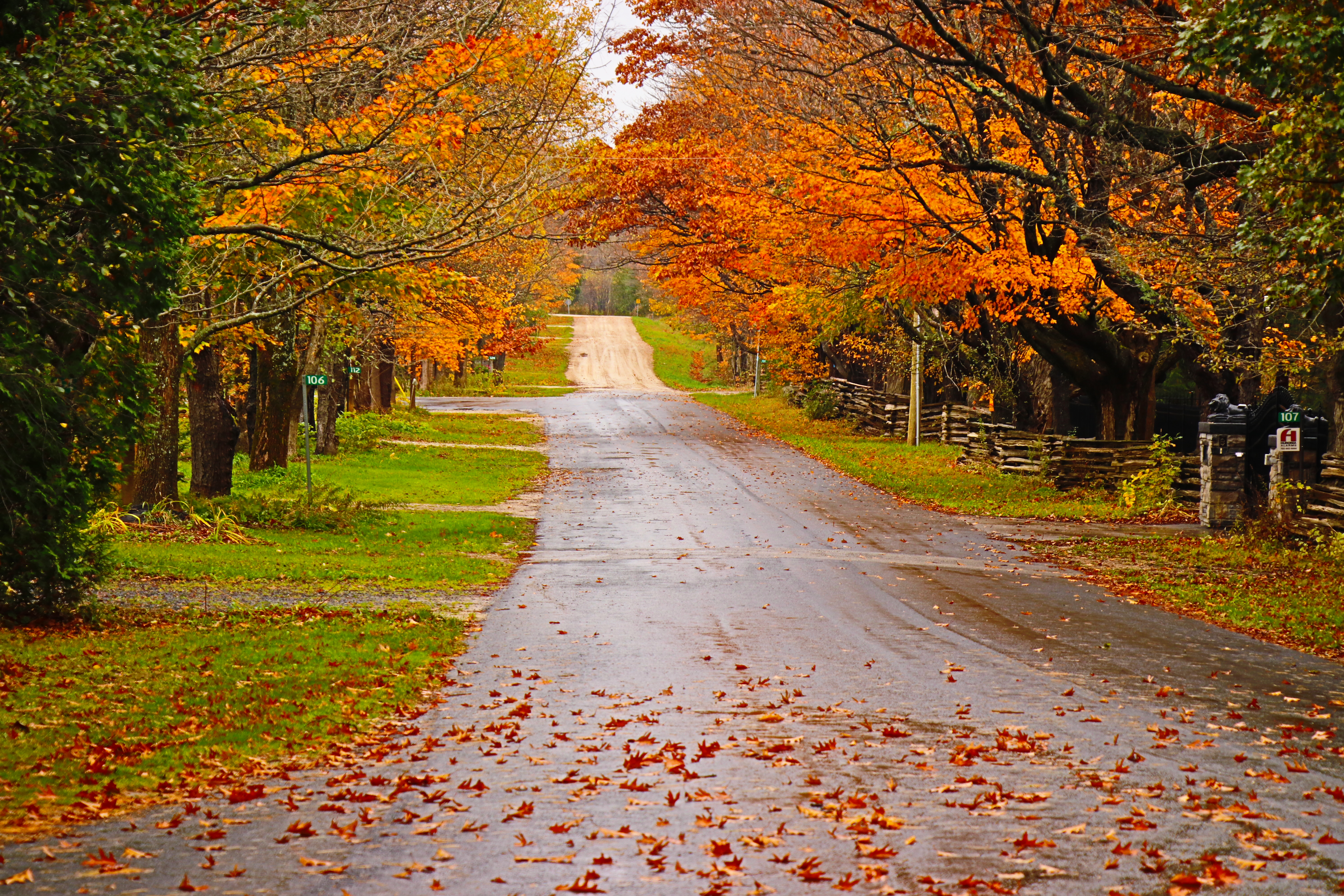 Fall scene - MK Video Photo