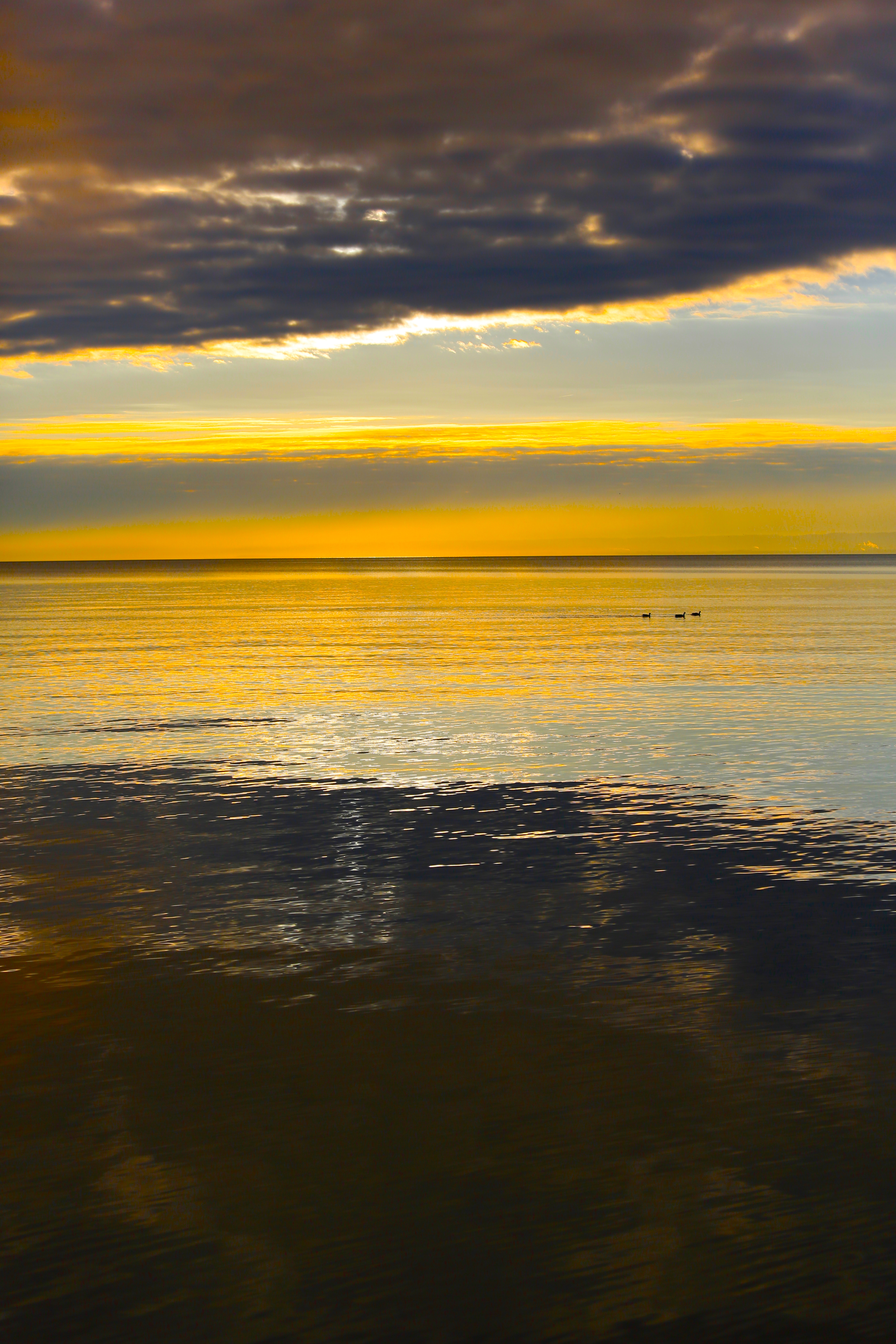 Landscape Photo - MK Video Photo