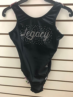 Spring Show Leotard 1 Front.JPEG