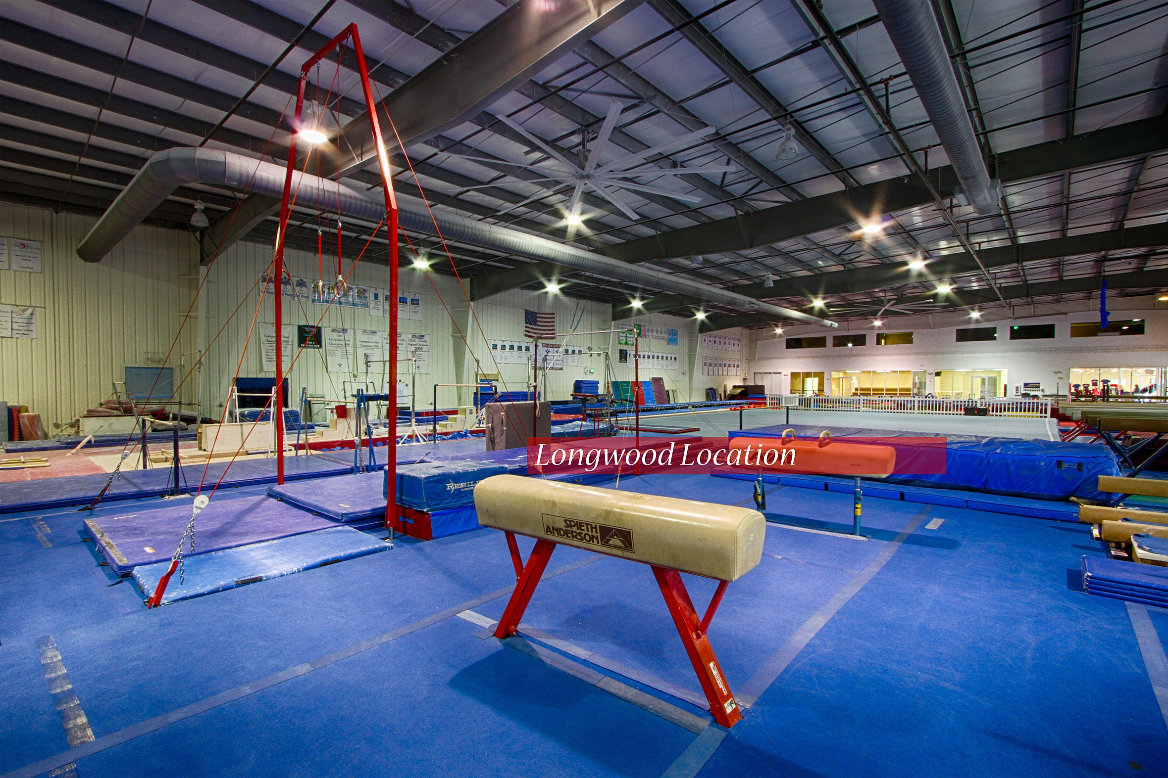 Gymnastics Usa