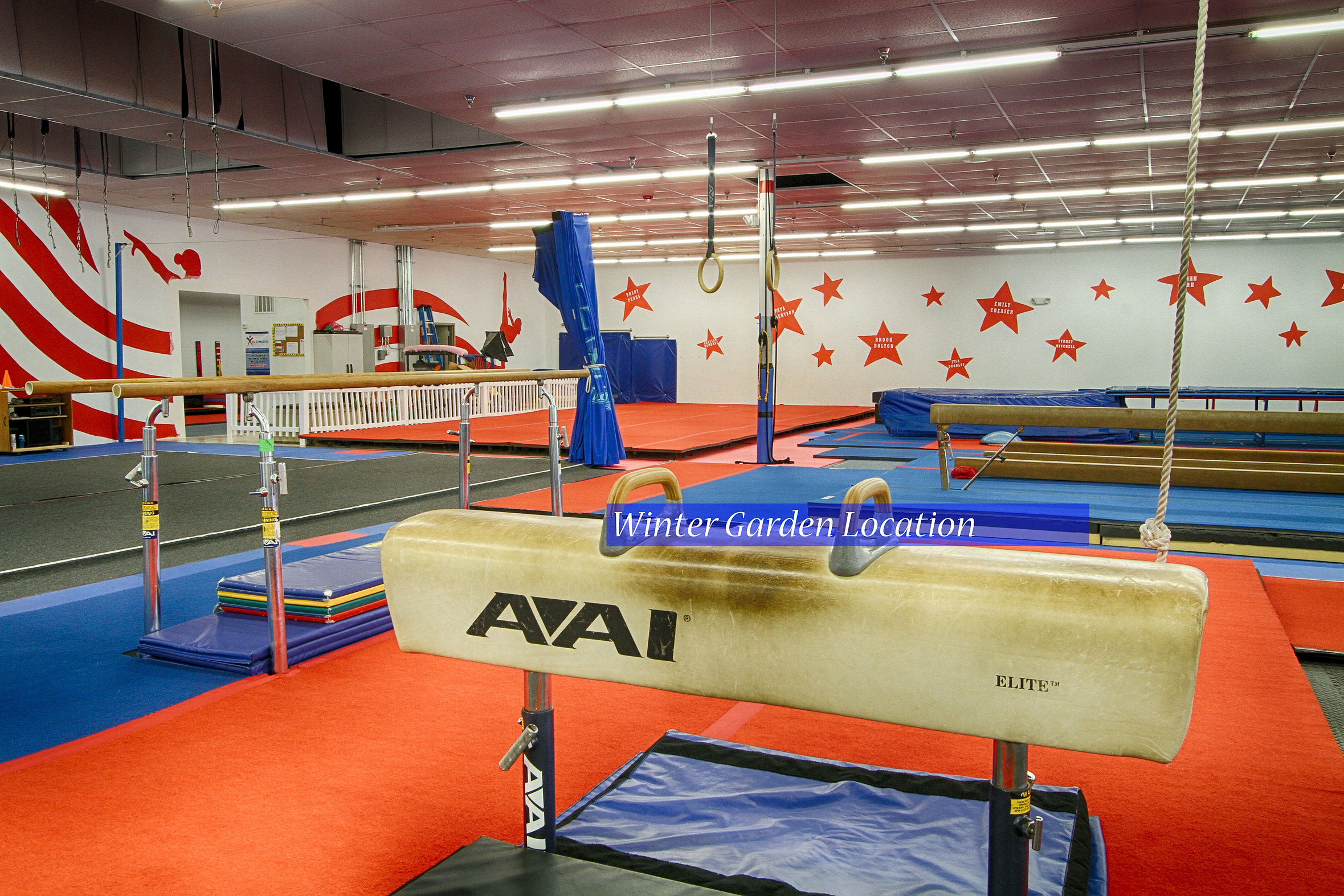 Gymnastics Usa