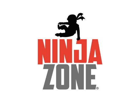 Ninja Zone, Stars and Stripes Marketing Services Client in Indianapolis, IN – Children’s Gymnastics & Fitness