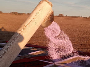 El negocio del agro viene mejor nutrido en 2026: crecen fuerte las importaciones de fertilizantes