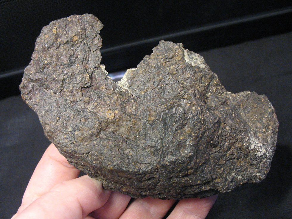 RaS 531 - 02.JPG