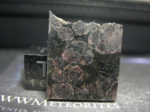 2.87g - 02.JPG
