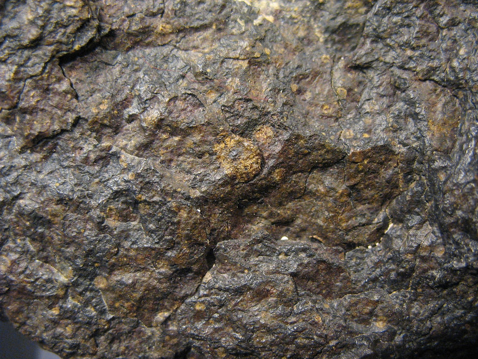 RaS 531 - 03.JPG