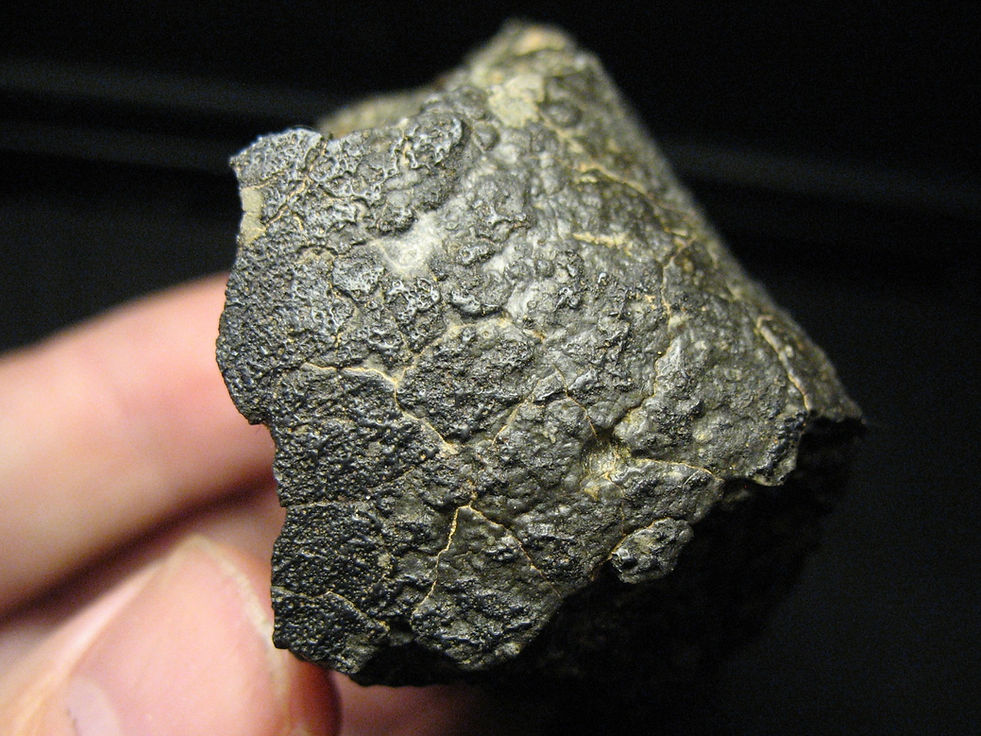 CV3-NWAXXX - 04.JPG