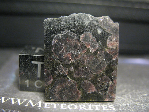2.95g - 01.JPG